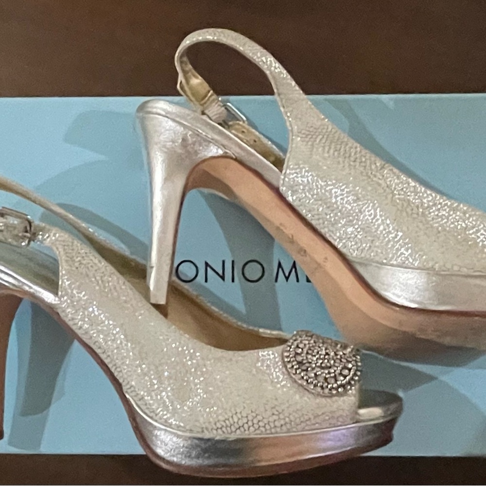 ANTONIO MELANI Shimmering Silver Heels